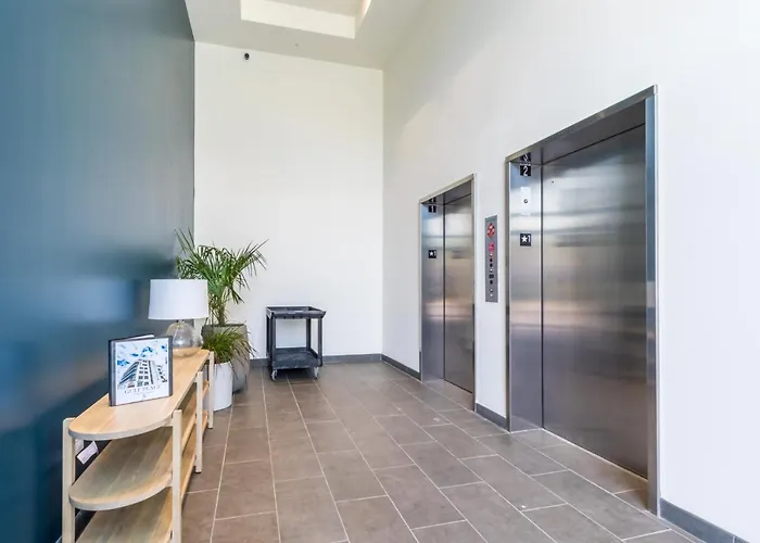 Spacious, 5 Bedroom On The With Rooftop Pool Next To The Hangout!